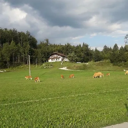 Turisticna Kmetija Pr Mark -kamp * Trebce