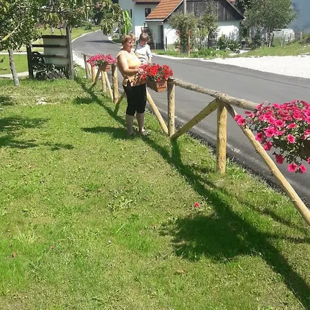 Turisticna Kmetija Pr Mark -kamp Kemp